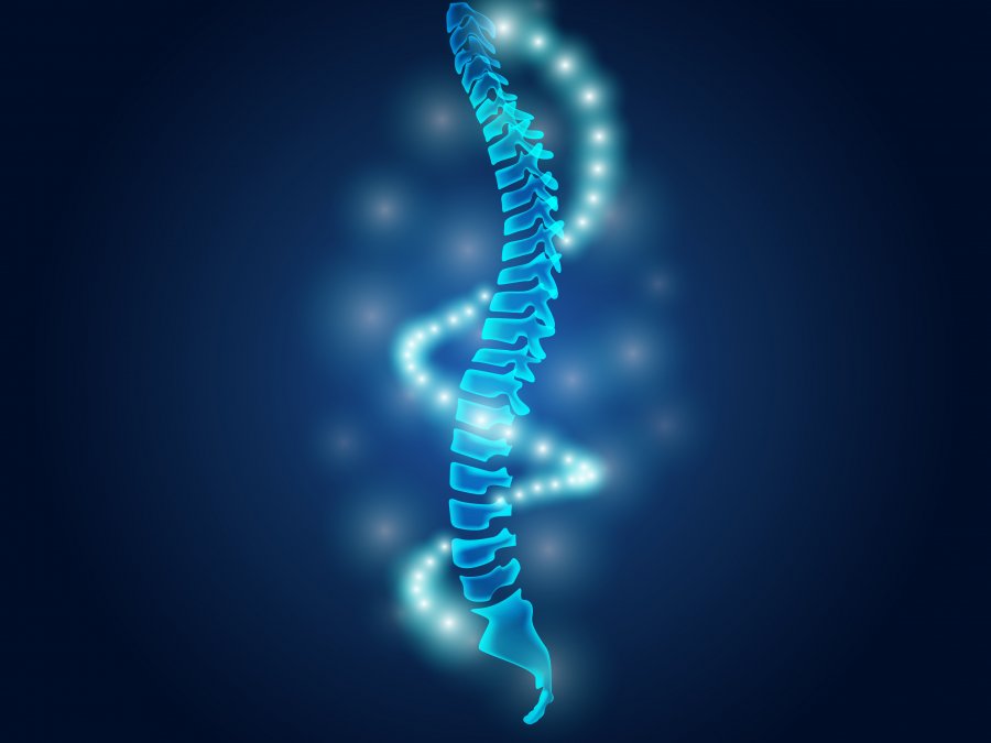 Fizyoterapi Destek Programları